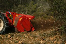 Mulcer forestier in actiune